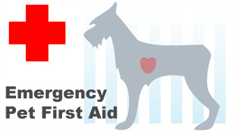 Emergency Pet First Aid