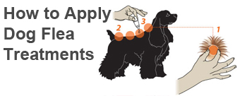 How to apply dog flea treatments